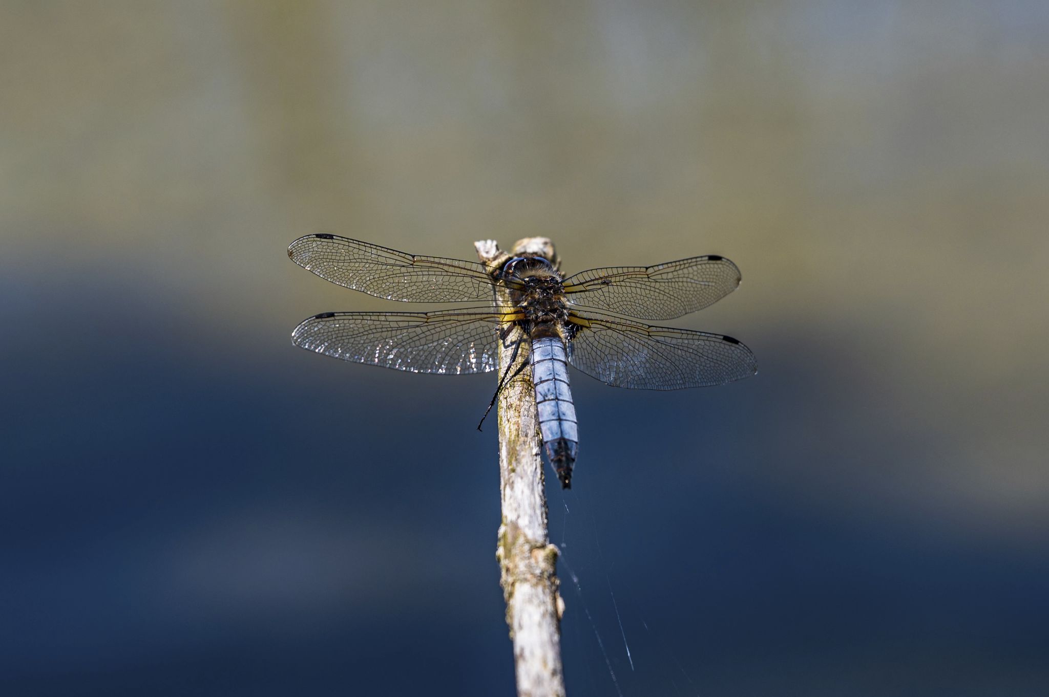 Kajaktour Staffelsee 12.06.22
